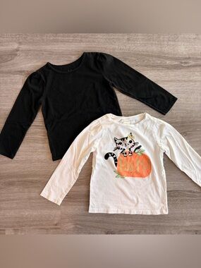 Gymboree/Garanimals toddler girls long sleeve tops